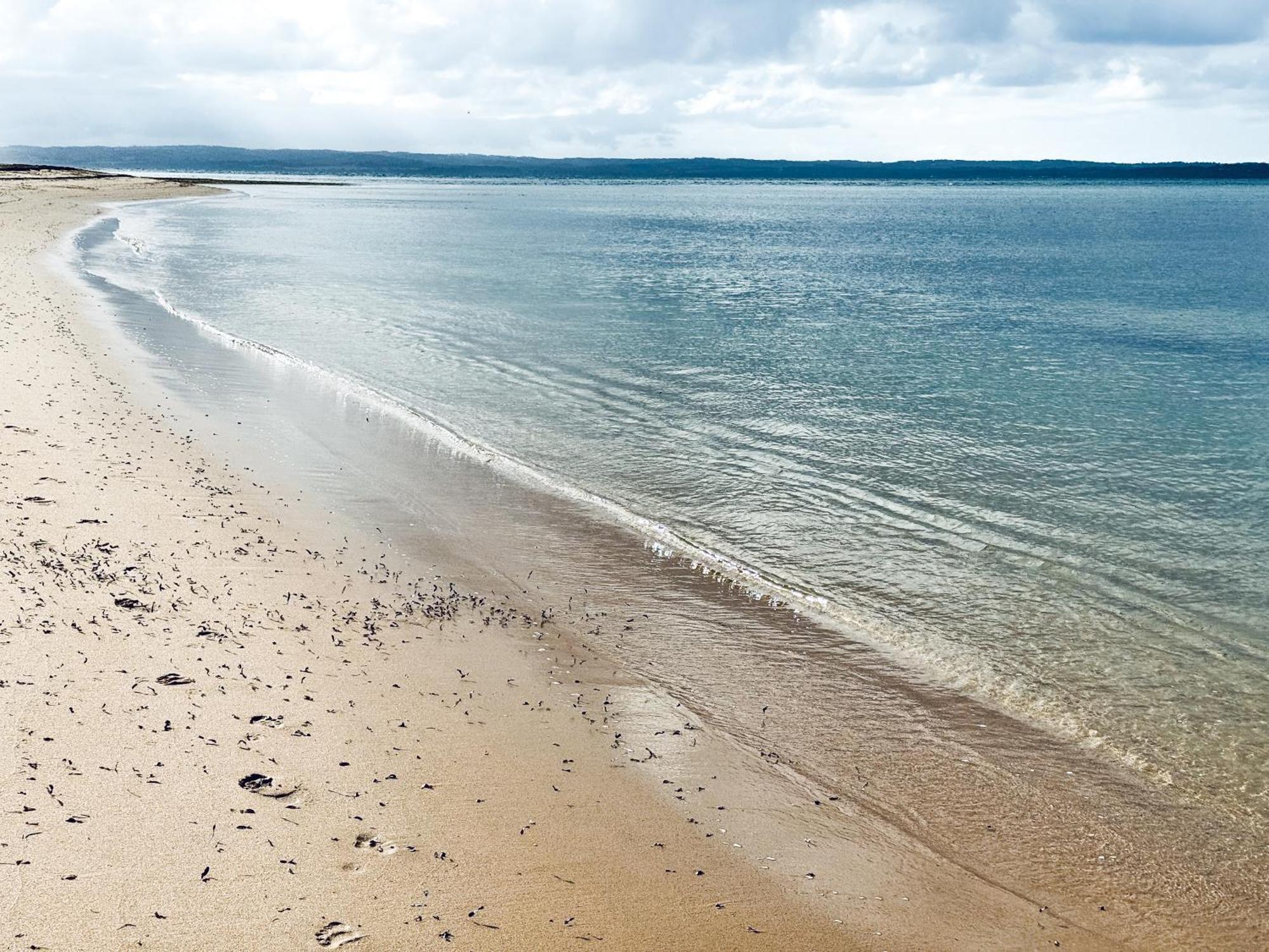 The Big Isle Retreat Holiday home *